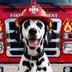 Sparky the Fire Dog logo
