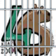 Jail Khaokheow Zoo  logo
