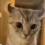 幣種圖標