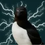 AURA BIRD-token