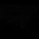 crypto capital logo
