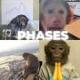 Phases Of Degen logo