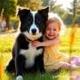 Supportive Border Collie logo