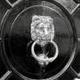 A Super Secret Service logo