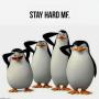 Token stay hard mf