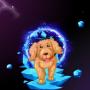 Maltipoo 币种