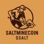 Token SALTMINECOIN