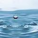water logo