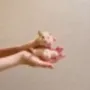 Token Hamster With Biggest Balls