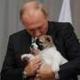 Putin's Dog logo