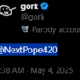 Token GORKS NEXT POPE