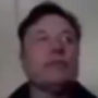 Bully Elon Core 幣種