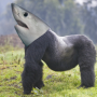 Token Body Of Gorilla, Head Of Shark