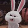 العملة الرمزية Elon Rabbit