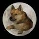 Doge 2.0 logo