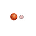 Basket Bōlz  logo