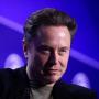 Токен Evil Elon