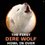 Token Dire Wolf