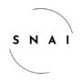 token SwarmNode.ai