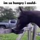im so hungry logo