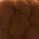 FARTISTS logo