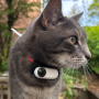 العملة الرمزية go pro cat memecoin