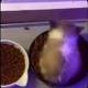 Cutest Trending Cat logo