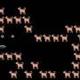 tweet dog logo