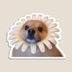 FLODOG logo