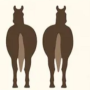 HORSEASS 幣種