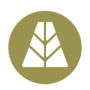 Token icon