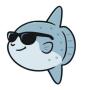 Token MOLA