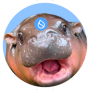 ID de token