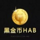 Black gold coin Token logo