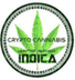 IndicaGeneSeed logo