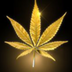MaryJaneGold logo