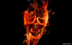 ROASTED logo