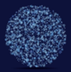 SEEDR logo