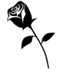XXX logo